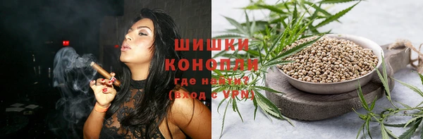 PSILOCYBIN Гусь-Хрустальный