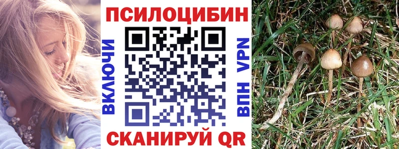 Псилоцибиновые грибы мицелий  цена наркотик  Задонск 
